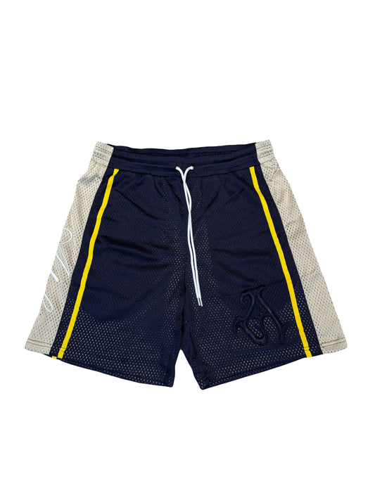 Navy Mesh Retro Gym Shorts